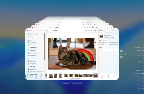 Mit einem Time Machine-Backup wiederherstellen