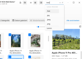 Rechercher des fichiers