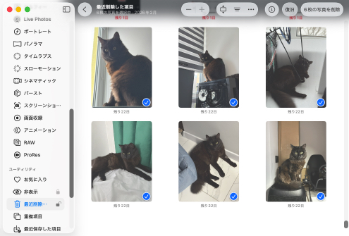 アプリ固有のゴミ箱フォルダーからファイルを復元する