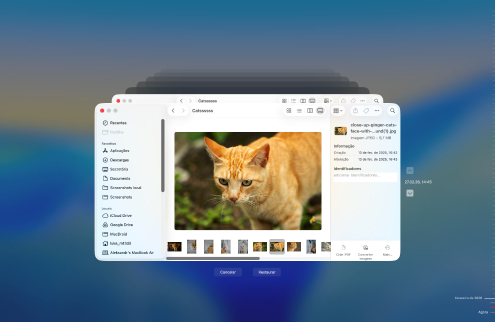 Recuperar com um backup do Time Machine