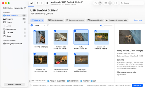 Recuperar o lixo eliminado no macOS