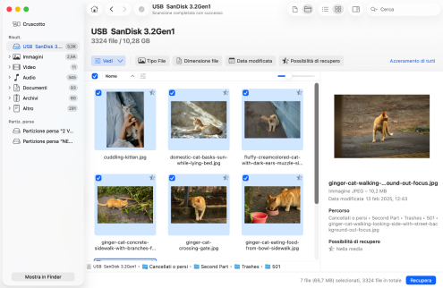 Recupera il Cestino eliminato su macOS