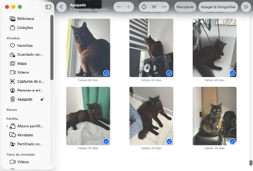 Recupere seus arquivos de uma pasta de lixeira específica do aplicativo