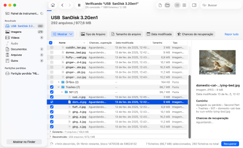 Revisar ficheiros encontrados