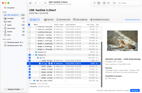 Esamina i file trovati