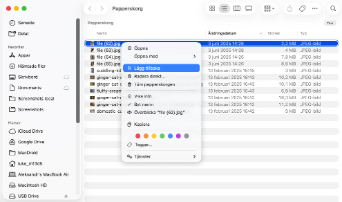 Se till att du faktiskt har raderat filer från papperskorgen