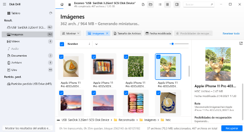 Seleccione los archivos que desea recuperar