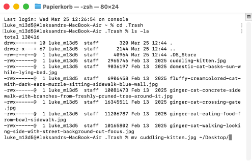 So verwenden Sie die Terminal-App, um Dateien aus dem Papierkorb wiederherzustellen