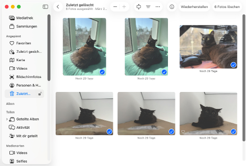 Stellen Sie Ihre Dateien aus einem app-spezifischen Papierkorb-Ordner wieder her
