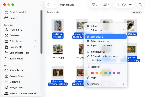 Stellen Sie sicher, dass Sie die Dateien tatsächlich aus dem Papierkorb gelöscht haben