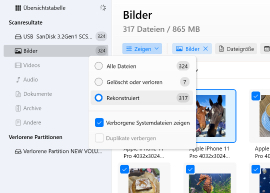 Überprüfen Sie den Abschnitt „Rekonstruiert“