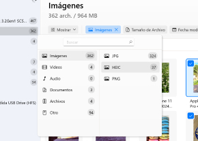Usa "filtros" para una búsqueda más rápida / selecciona el tipo de archivo correcto