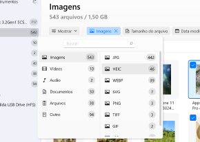 Use "filtros" para uma pesquisa mais rápida / selecione o tipo de ficheiro correto