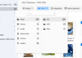 Verwenden Sie Filter für eine schnellere Suche oder um einen bestimmten Dateityp auszuwählen