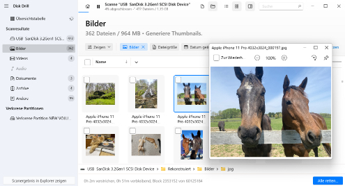 Vorschau der gefundenen Dateien