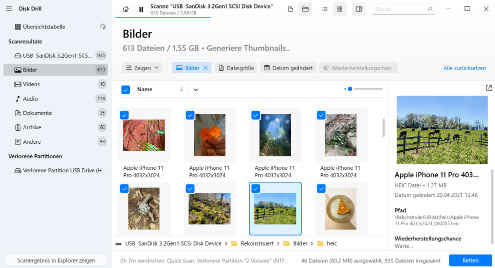 Sélectionnez les fichiers que vous souhaitez récupérer