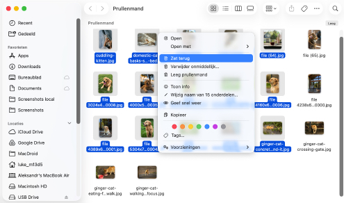 Zorg ervoor dat je bestanden daadwerkelijk uit de prullenbak hebt verwijderd