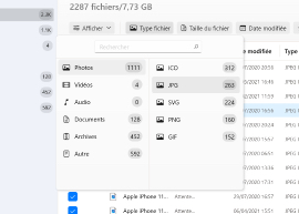 Utilisez des filtres pour une recherche plus rapide ou pour sélectionner un type de fichier spécifique