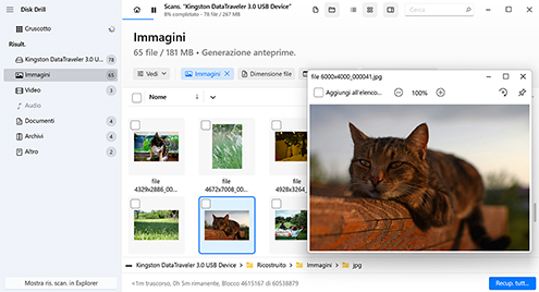 Visualizza in anteprima i file trovati