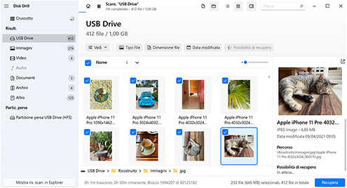 Anteprima e seleziona i file recuperabili