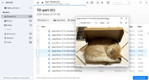 Prévisualiser les fichiers trouvés