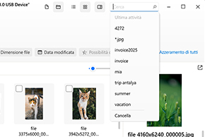 Cerca file