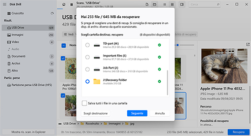 Fai clic sul pulsante Recupera per ripristinare i file selezionati
