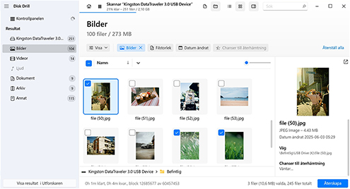 Förhandsgranska och välj återställningsbara filer