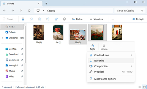 I migliori metodi per recuperare file eliminati su Windows 11/10/8/7