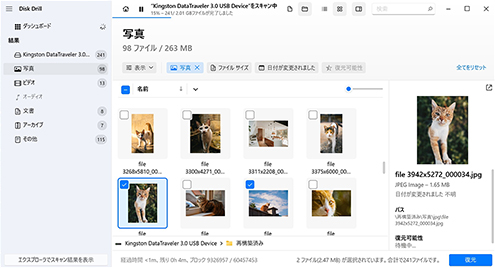 復元可能なファイルをプレビューして選択します