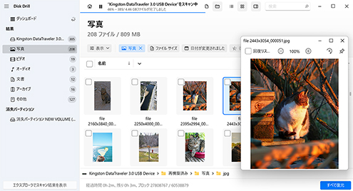 見つかったファイルをプレビュー