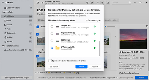 Klicken Sie auf die Schaltfläche „Wiederherstellen“, um die ausgewählten Dateien wiederherzustellen.