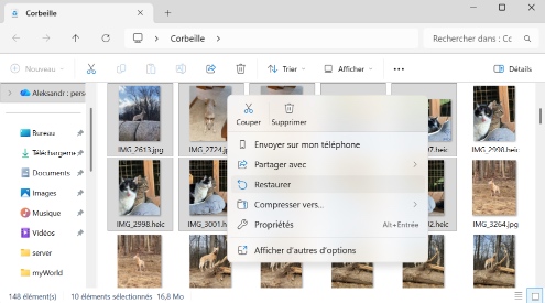 Meilleures méthodes pour récupérer des fichiers supprimés sur Windows 11/10/8/7