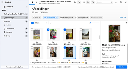 Selecteer de foto's die je wilt herstellen
