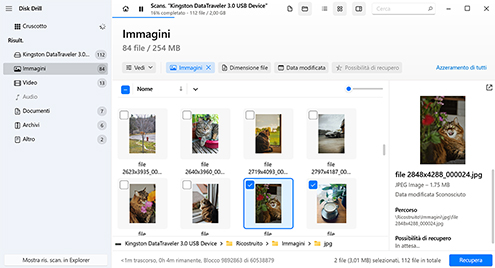 Seleziona le foto che desideri recuperare