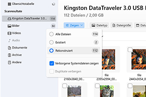 Alle drei Wiederherstellungsordner überprüfen