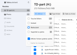 Vérifiez la section Reconstruite