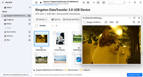 Previsualizar los archivos encontrados