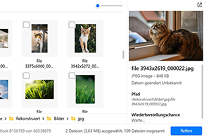 Bilder vor der Wiederherstellung anzeigen
