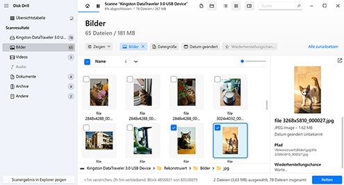 Wählen Sie die Fotos aus, die Sie wiederherstellen möchten