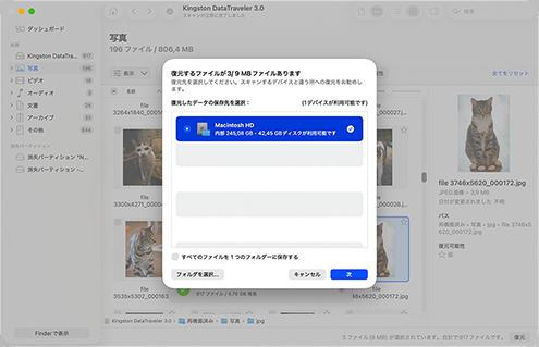 選択したアイテムで復元を実行