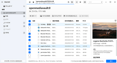 ファイルをプレビューして復元 ファイルをプレビューして復元