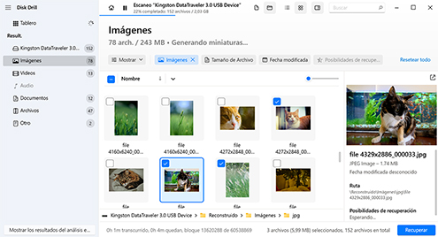 Vista previa y selecciona archivos recuperables